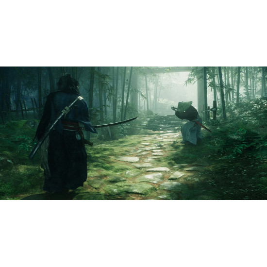 بازی Rise of the Ronin بازی Rise of the Ronin