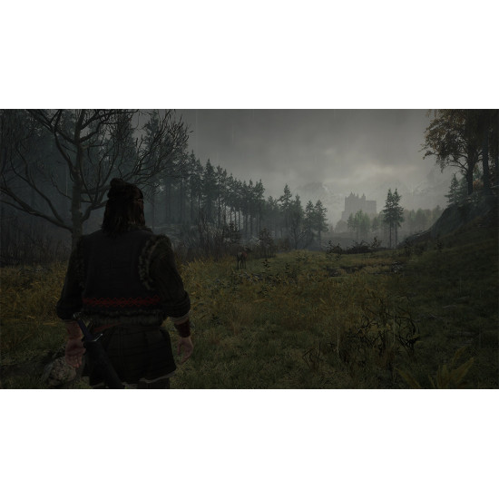 بازی The Blood of Dawnwalker - PS5