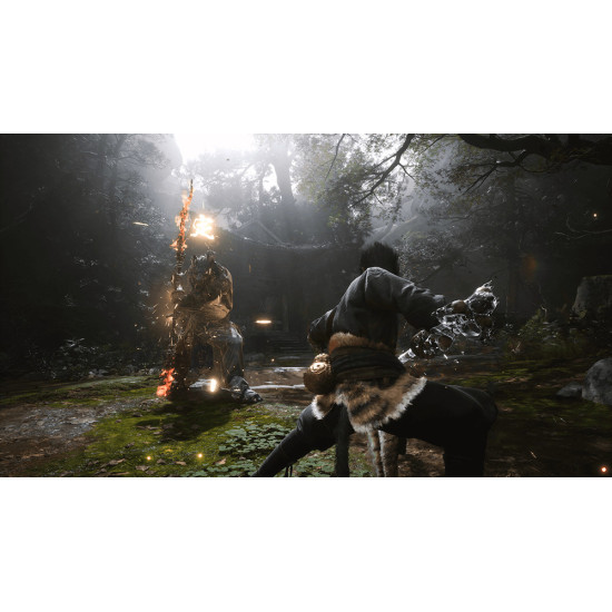 بازی Black Myth: Wukong - PC بازی Black Myth: Wukong - PC
