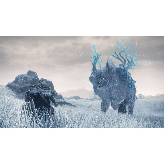بازی WILD HEARTS - XBOX بازی WILD HEARTS - XBOX